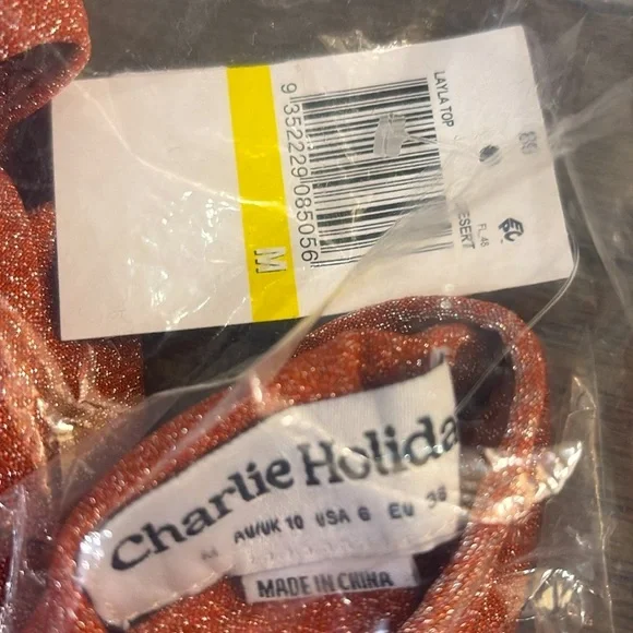 NWT [Charlie Holiday] Layla Shimmering Metallic Crop Top in Desert Women’s Sz M - Picture 7 of 9